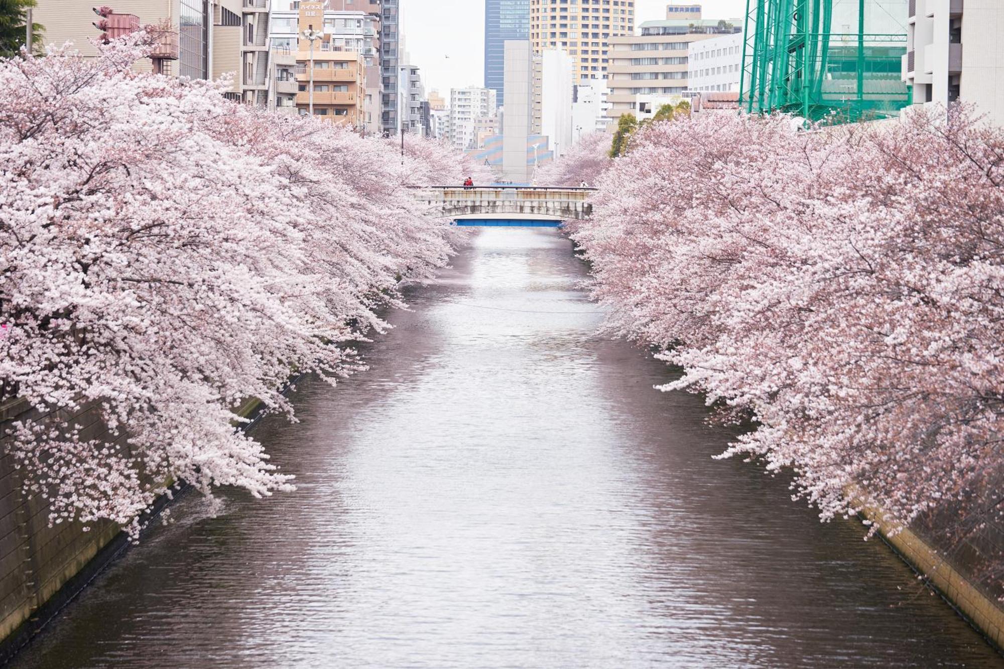 Hotel Gajoen Tokyo — Fotos 1